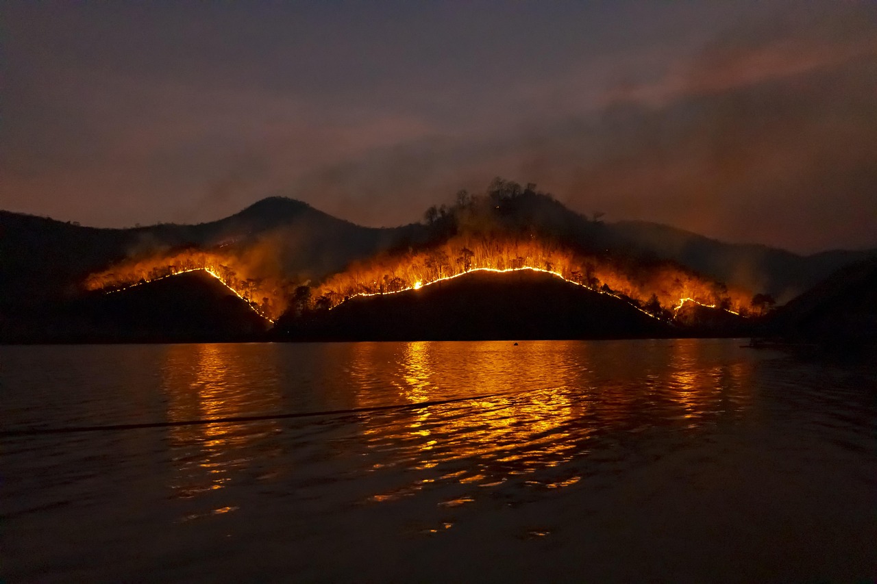 Fire on the Ridge: Designing Hillside Homes for a World That Keeps Burning